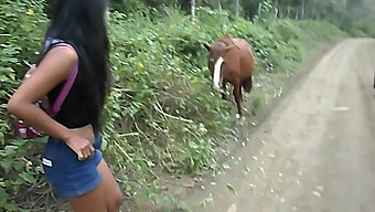 La Adolescente Tailandesa Heatherdeep Cabalga Una Polla De Caballo Para Un Creampie