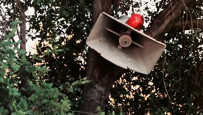 A Buceta Virgem E Apertada De Kari Klark É Restaurada