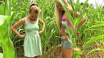 Lesbian Teen: A Young Lady'S First Time With Another Girl