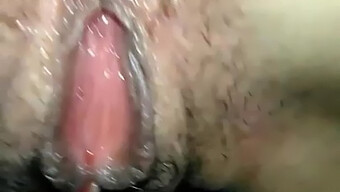 Coño Masturbándose