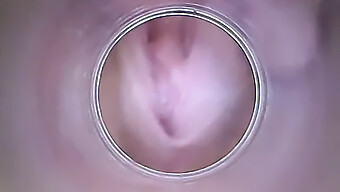 Hd Video Of A Young Brunette'S Cervix And Vagina