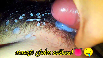 Pornô Peludo De Hodata No Sri Lanka, Novo Com Pau Grande E Orgasmo