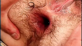 Brown Teen With A Hairy Pussy Gets An Anal Creampie