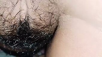 Peludo E Excitado: Fodendo Um Pau Peludo. Você Não Vai Querer Perder Essa Cena Quente E Suculenta!